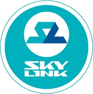 «Скайлинк» просит рассрочку на строительство сетей в регионах
