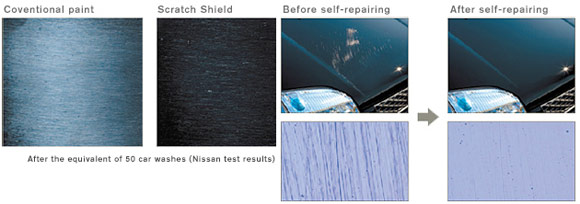 Nissan Scratch Shield